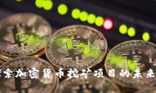 深入探索加密货币挖矿项目的未来与挑战