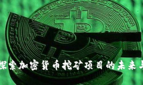 深入探索加密货币挖矿项目的未来与挑战