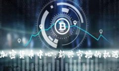 俄罗斯加密货币中心：新