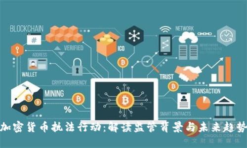 加密货币执法行动：解读监管背景与未来趋势