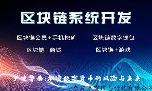 严重警告：加密数字货币的风险与未来