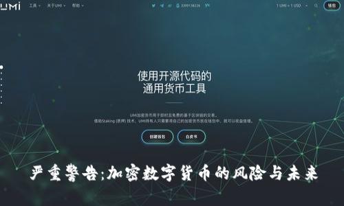 严重警告：加密数字货币的风险与未来