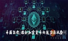 币圈狂欢：揭秘加密货币