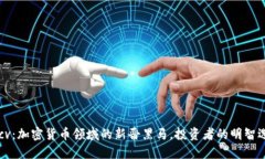 BTcv：加密货币领域的新晋