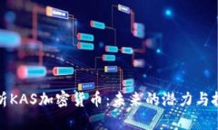 全面解析KAS加密货币：未