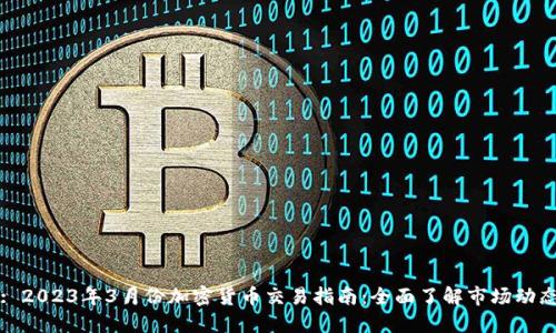 : 2023年3月份加密货币交易指南：全面了解市场动态