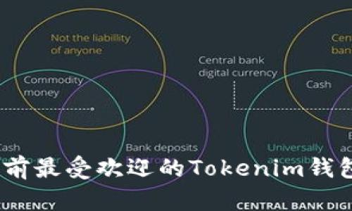 全面解析：当前最受欢迎的Tokenim钱包类型与特点