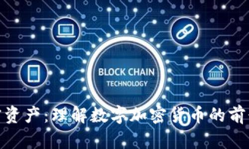 数字加密资产：理解数字加密货币的前景与风险