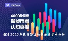 探索2023年最具潜力的新加
