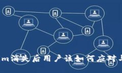 Tokenim消失后用户该如何应