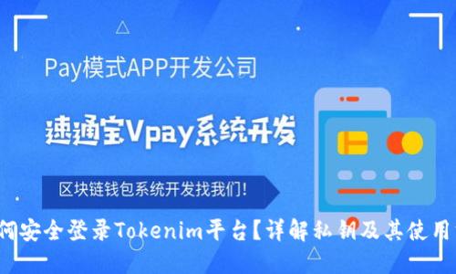  如何安全登录Tokenim平台？详解私钥及其使用方法