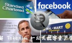   深入了解 Tokenim：一站式数字资产管理教程
