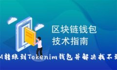 如何从BTM转账到Tokenim钱包并解决找不到币的问题