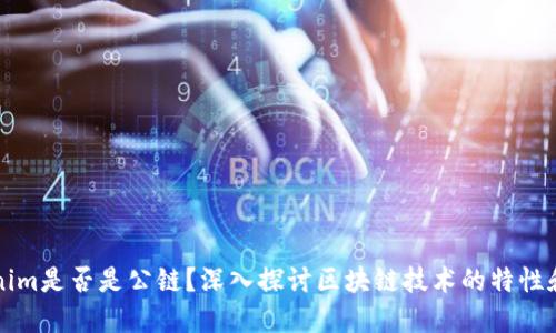 Tokenim是否是公链？深入探讨区块链技术的特性和应用