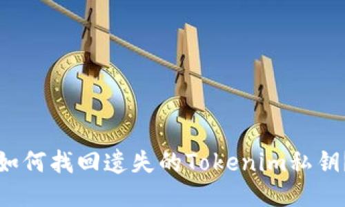 如何找回遗失的Tokenim私钥？