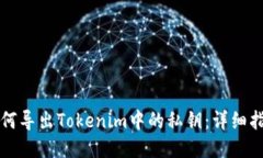 如何导出Tokenim中的私钥：详细指南