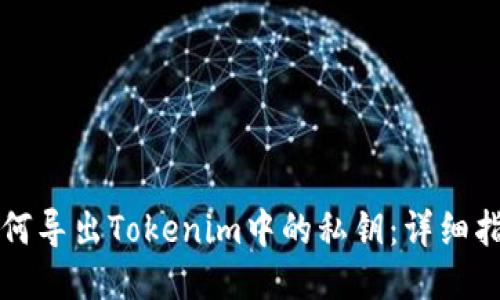 如何导出Tokenim中的私钥：详细指南