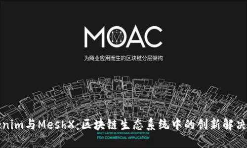 Tokenim与MeshX：区块链生态系统中的创新解决方案