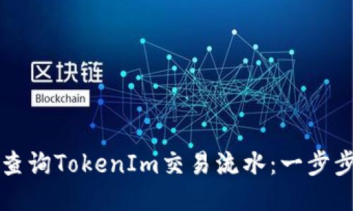 如何查询TokenIm交易流水：一步步指南