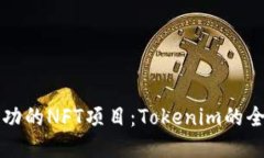 打造成功的NFT项目：Tokenim的全面指南